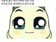 샩필륹 백업