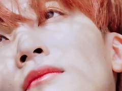 [세븐틴빙의글/일상물/쿱정] 첫사랑+19