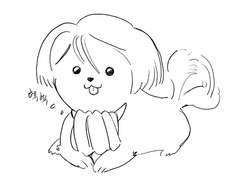 셰인 세묘노비치 로마노프 설정 정리