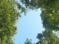 愛は青春じゃないけど 僕らは青春だった