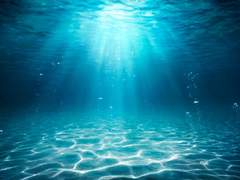 더러워, 더럽다고! 오지마!!