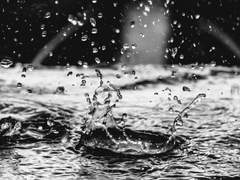 감히 전하는 진심은 나의 욕심입니다