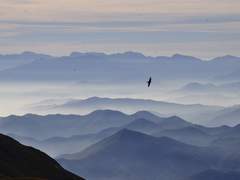 [도위소병] 추축춘천追逐春天 - 입동(1)