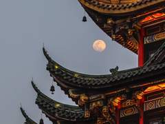 그를 사랑할 수 있을까