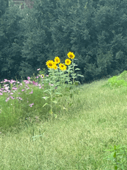 어제부터 네가 잊혀지고 있는 세상에서