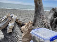 11월 22일) 샌드플라이와의 전쟁