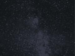 바람꽃 의설화_01화