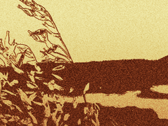 1-1. 변하지 않는 마을