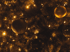 [도리벤 드림] 무슨 사이 1