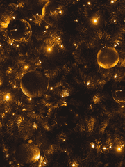 [도리벤 드림] 무슨 사이