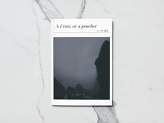 A Fixer, or a poacher