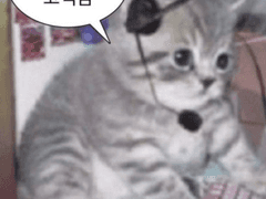 의상디자인 커미션