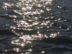 [미나요리] 잠수