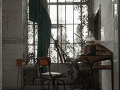 [톨] 정글논쟁01