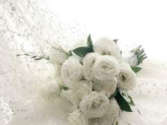 그 오빠와 그 동생의 사정 38 (完)