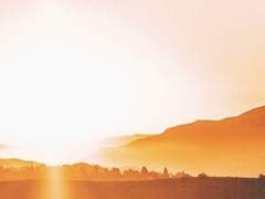 니콜라스 xy 30대 중반