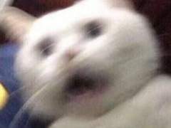 퍽퍽한 센티넬들 그리고 촉촉한 가이드 6