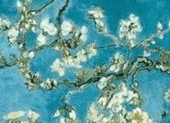 To. Eva Semicolon White