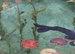 To. Charlotte Stella Kennedy