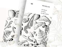 마이 리틀 쏘리 통신판매