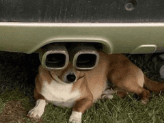 자동차 동아리 아닙니다 TALK 02