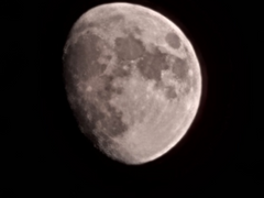 [ 장편 ]세상이 죽음으로 뒤덮인 후