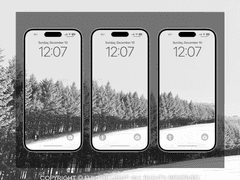 [배경화면] 눈의 나무 SET