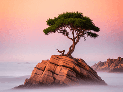 내 사주팔자와 운에 대해 '알고 살아간다'는 것은...