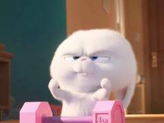 23.12.11 흐릿한 회색, 먼지 그리고 나