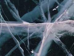 매니저 관두겠습니다(1)