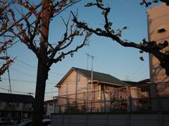 [사진] 이치노에