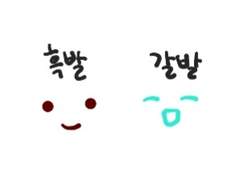 동글이 눈천사 신청서