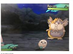 [주술회전 드림] 도쿄 주술고전 공식 갱얼쥐 (3)