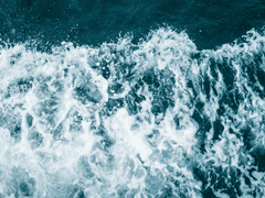 [해량무현] 어바등에 빙의한 신해량 1