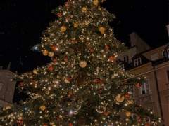 그러니까, 마법이 문제야!