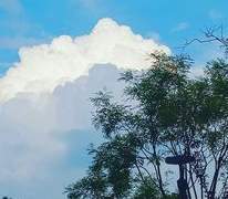 찾을 수 없는 것