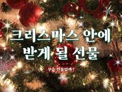 🎄 크리스마스 안에 받게 될 선물