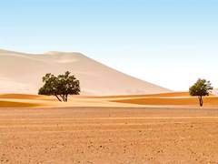 사하라 사막에서의 모험