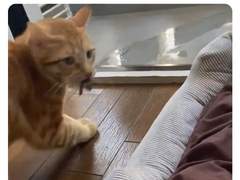 20231211 무기미도주저리들