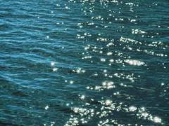 [라이즈] 인어의 눈물 0