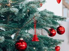 우리의 메리 크리스마스(GL, 단편)