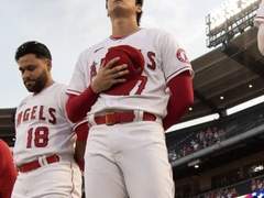 오타니 쇼헤이 사주 풀이