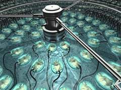 [우명/우성명헌] 우성으로 23