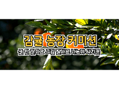 🍊 곽둑닥 귤 농장