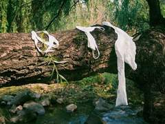 설원의 끝에 서서 바라보는