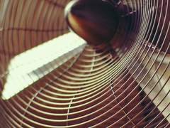 [바지치리] :: 포코님 글 커미션