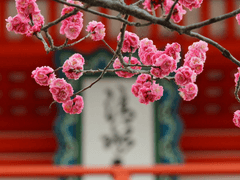 화산귀환 드림 공지