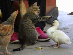 아 저는 시험 끝나도 학원 가요