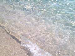 내가 본 마지막 세상은