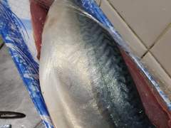 [DAY 240, 241, 242] 매일매일 새롭게 재밌는 우리 집